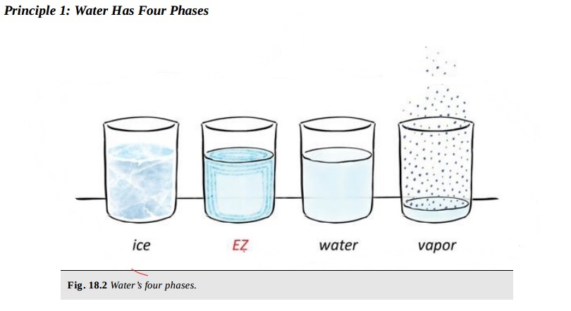 Four phases of Water, Dr Pollack