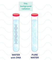 Montagnier DNA experiment