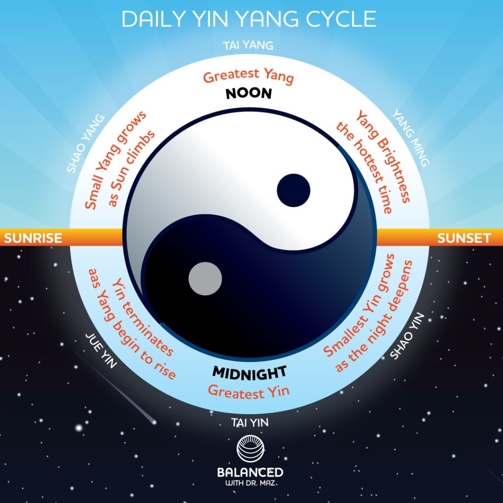 Daily Yin Yang Cycle