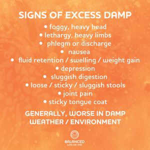 Songs of excess damp